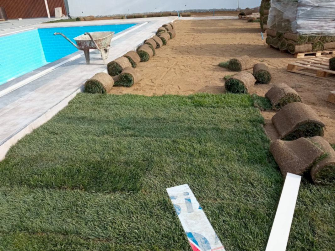 Kuşadası Peyzaj Firması Hazır Rulo Çİm